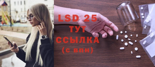 индика Балабаново