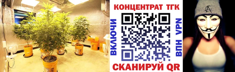 ТГК вейп  Новоалтайск 