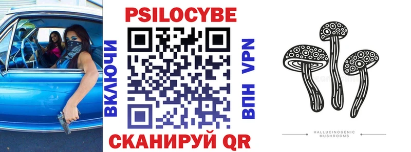 Галлюциногенные грибы Cubensis Новоалтайск
