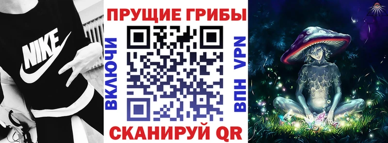 Галлюциногенные грибы GOLDEN TEACHER Новоалтайск
